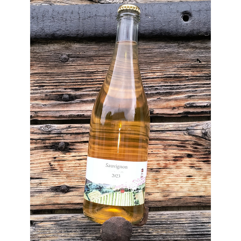 Sauvignon 2023 Sauvignon 2023